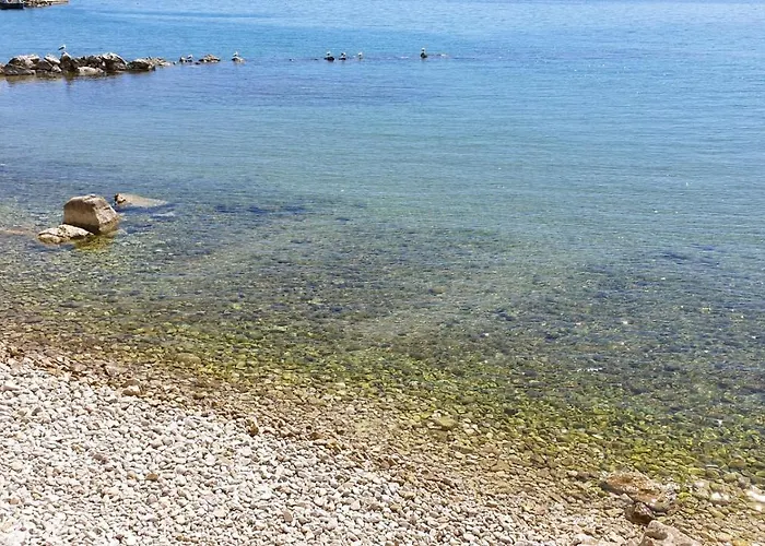 Zest Διαμέρισμα *